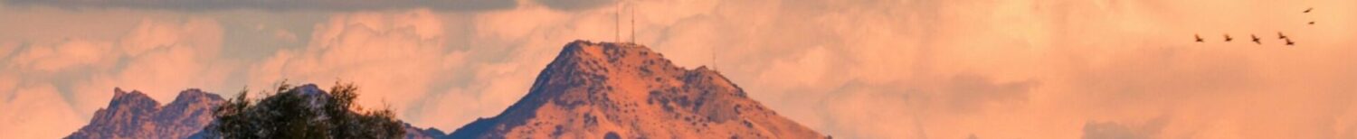 ARRL Sacramento Valley Section ARES